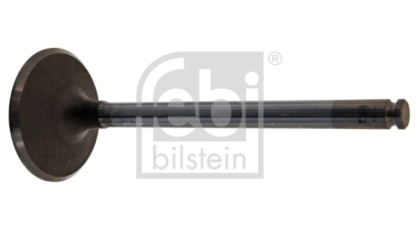 Intake Valve